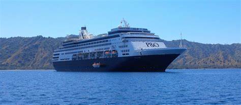 Komodo discovery  from cruise ship